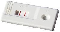 Rapid Test Cassette