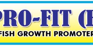 Cattle Feed Supplement