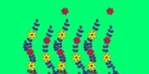 Daman Dress Embroidery Design