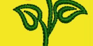 Tee Embroidery Design