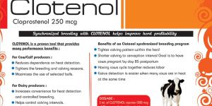 Clotenol Injection