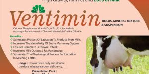 Ventimin Suspension