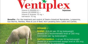 Ventiplex Injection