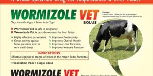 Wormizole Vet Bolus