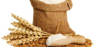 Wheat Flour ( Maida )