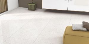 Double Charged Vitrified Tiles
