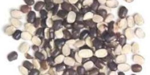 Split Urad (Lentils)