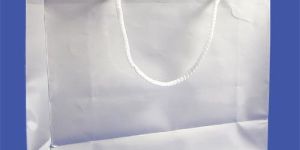 White Craft Paper Bags