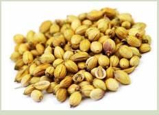 Coriander Seeds