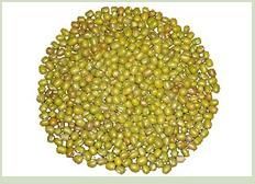 Mung Beans