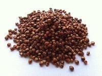 Red Sorghum Seeds