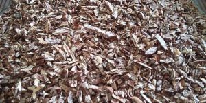 Processed Supari (A-ONE)