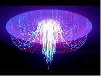 Fiber Optic Lights