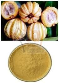 Garcinia Cambogia Extract