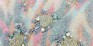 Haute Couture Embroidery Creation Work