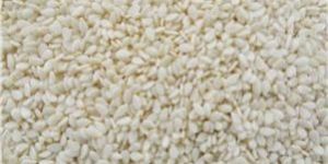Hulled Sesame Seeds