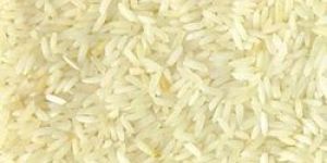 Sona Masuri Steam Rice