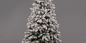 Snow Capped Christmas Pine Tree