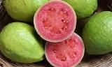 Red Guava