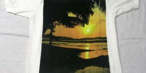 Mens Round Neck T Shirt