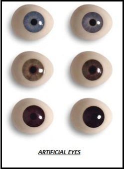 Artificial Eyes