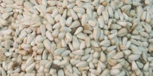 Safflower Seed