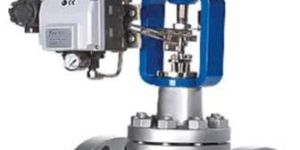 Globe Control Valve