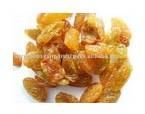 Golden Raisin
