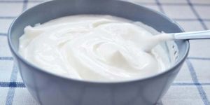 Eggless Mayonnaise