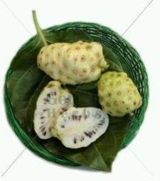 Noni Capsules