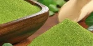 Moringa Powder