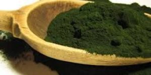 Spirulina Powd