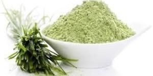 Wheat Grass Powder