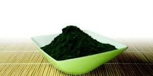 Spirulina Powder for Sales and Export