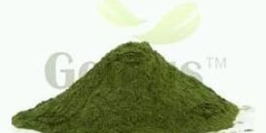Wheatgrass Powder