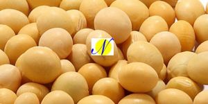 Soyabean