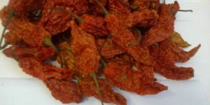 Bhut Jolokia Chilli Pepper