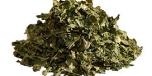 Dried Coriander Leaf