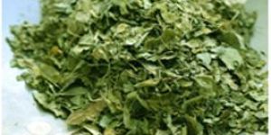 Dried Moringa Leaf