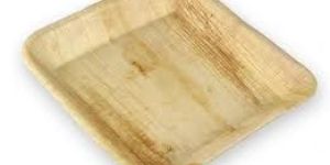 Palm Leaf Tray