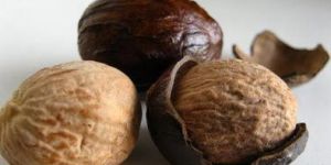 Nutmeg