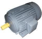 Three Phase Motor