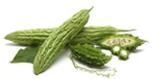 Bitter Gourd