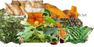 Organic Vermicompost