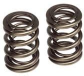 Diesel Engine Springs