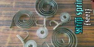 Strip Springs