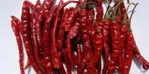Dried Red Chilli