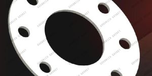 PTFE Gasket