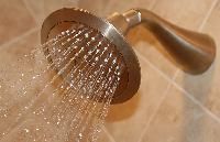 Rain Shower Head