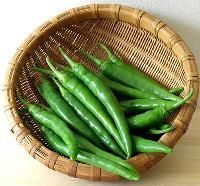 Green Chilli